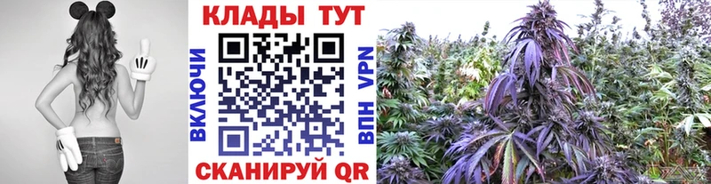 Купить наркотик аптеки Кириши МАРИХУАНА Alpha-PVP ГАШ МЕФ Амфетамин КОКАИН