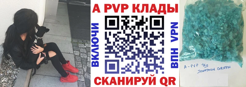 A PVP СК  Кириши 