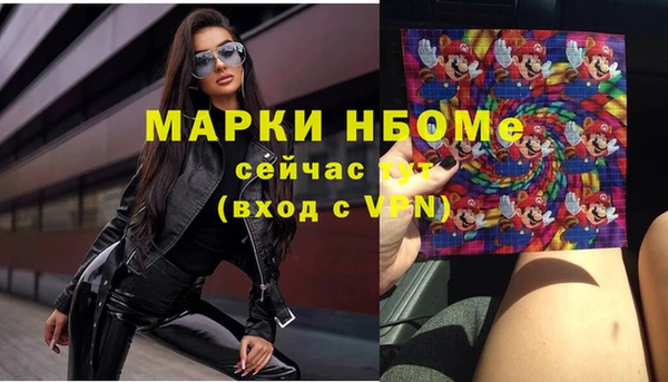 индика Заводоуковск