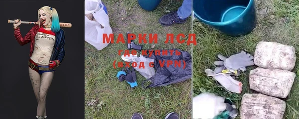 стафф Медвежьегорск