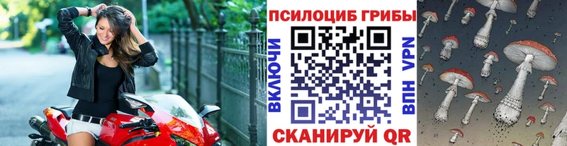 Галлюциногенные грибы мицелий  Кириши 