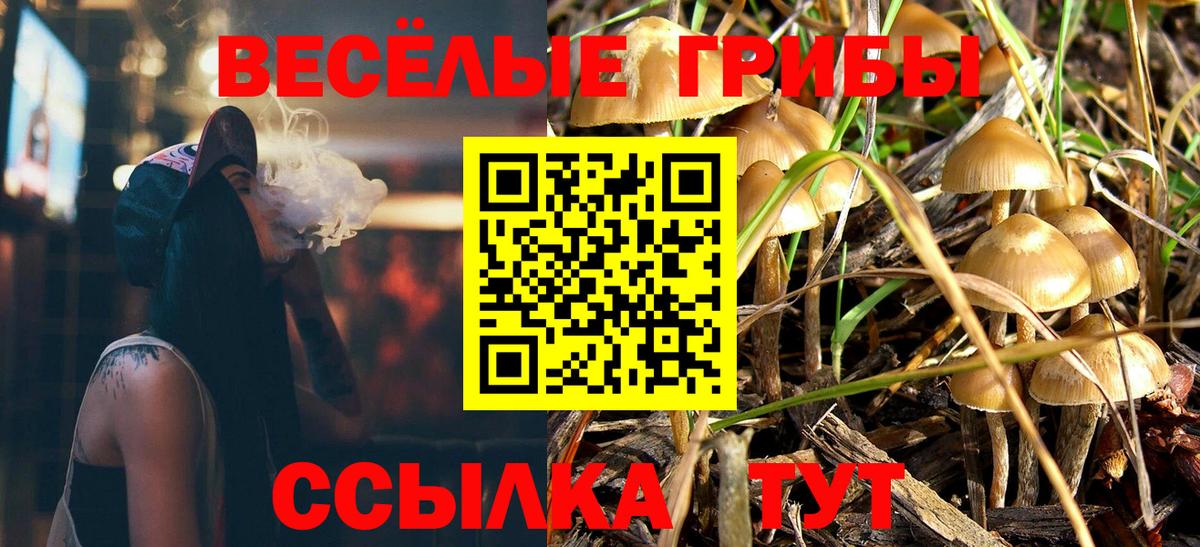 Псилоцибиновые грибы Magic Shrooms  Кириши 