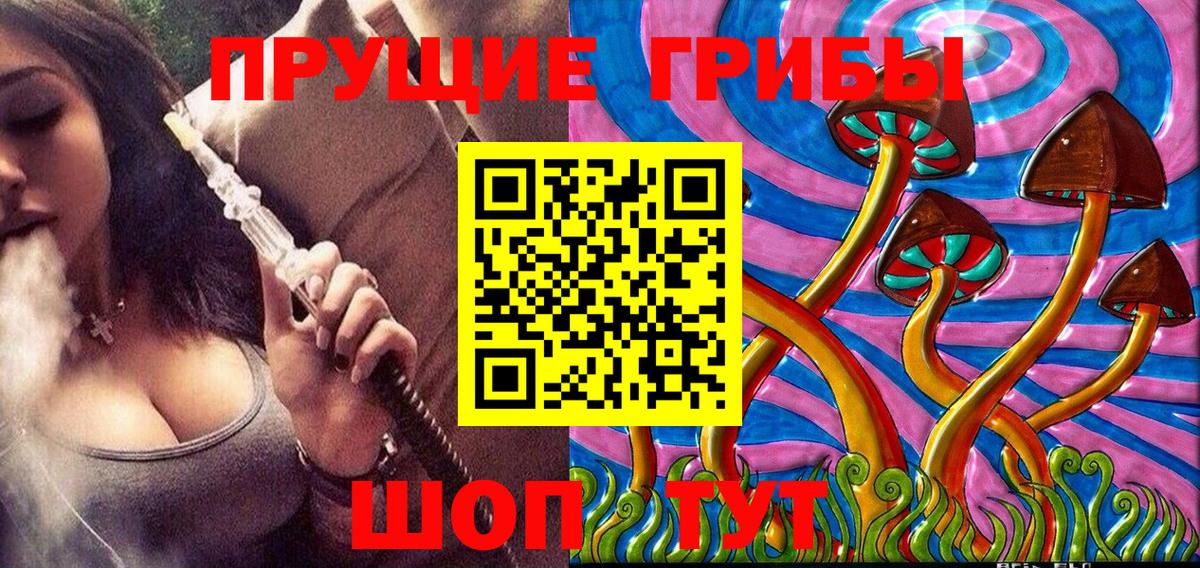 Кириши  Галлюциногенные грибы Psilocybine cubensis  Вход с VPN 