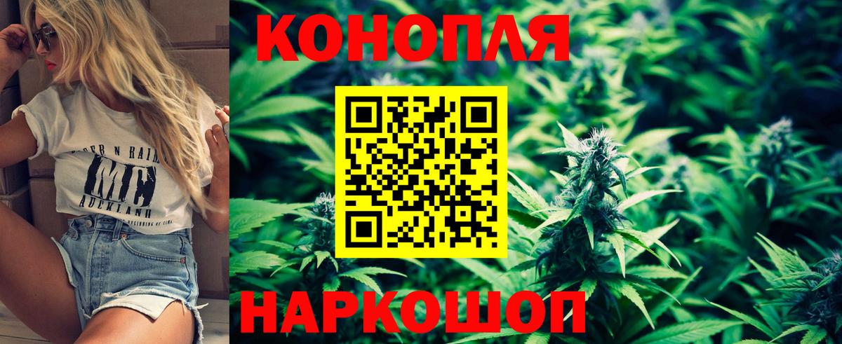 Каннабис MAZAR Кириши