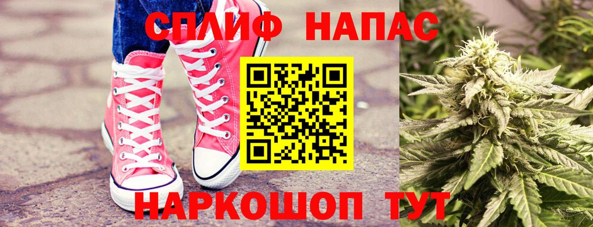 Марихуана сатива  Шишки марихуана планчик  Каннабис индика  Шишки марихуана Amnesia  Кириши 